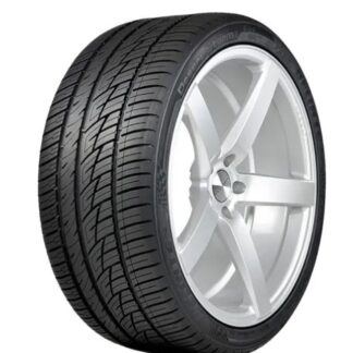PNEU 245/30R22 95W DS8 DESERT STORM II DELINTE
