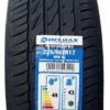 PNEU 225/50R17 98W PERFORMPRO DELMAX - Imagem 2